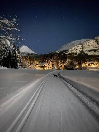 Hemsedal Mountain Retreat