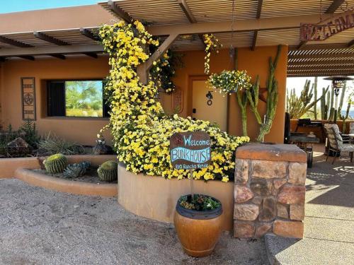 Serene & Secluded - Heart of the Sonoran Desert Bunkhouse Casita