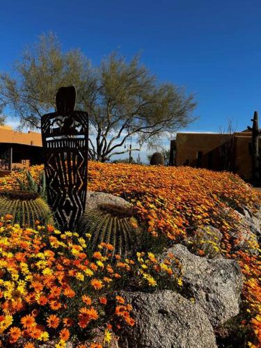 Serene & Secluded - Heart of the Sonoran Desert Bunkhouse Casita