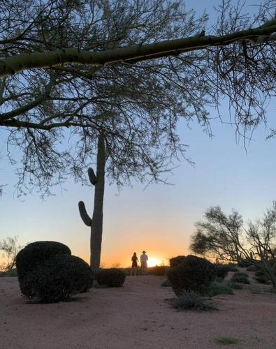 Serene & Secluded - Heart of the Sonoran Desert Bunkhouse Casita