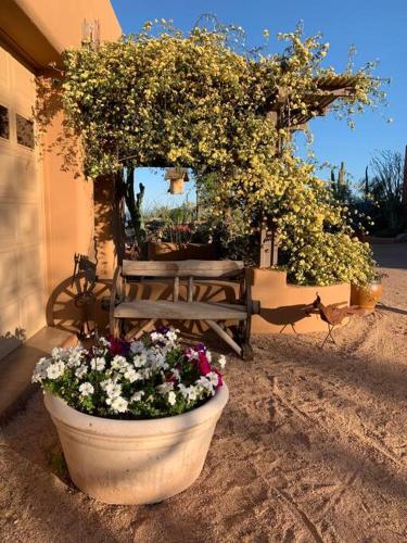 Serene & Secluded - Heart of the Sonoran Desert Bunkhouse Casita