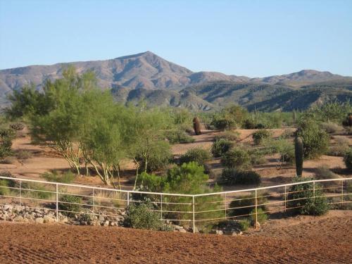 Serene & Secluded - Heart of the Sonoran Desert Bunkhouse Casita