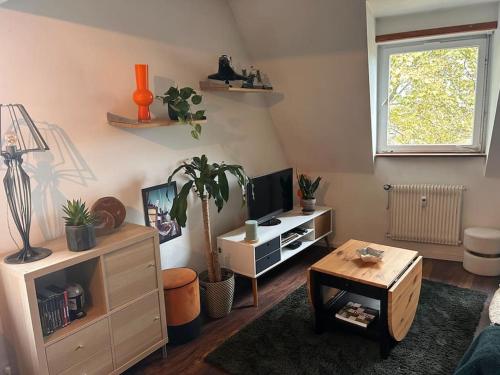 Appartement carré or Strasbourg, Štrasburk (fotografie 5)