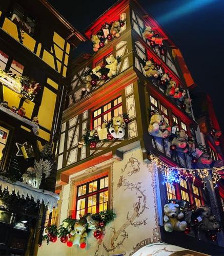 Appartement carré or Strasbourg, Štrasburk (fotografie 9)