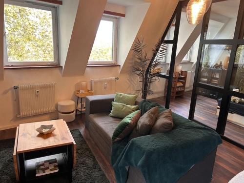 Appartement carré or Strasbourg, Štrasburk (fotografie 11)