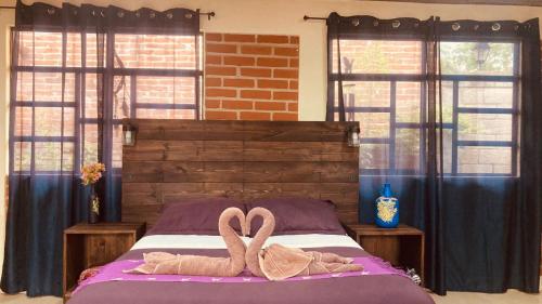 Casa Flor de Vida Room Type - Junior Suite