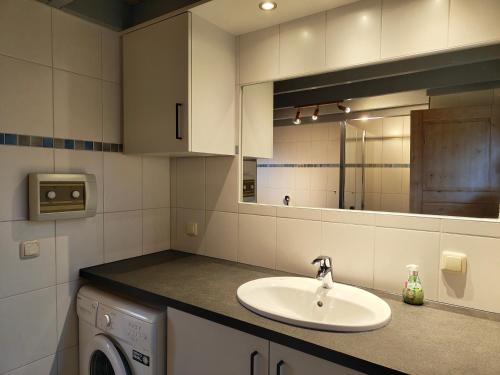Wildgans 11 - image 4