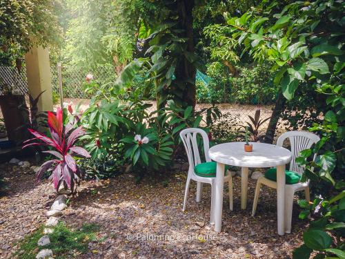 Hostal Palomino EcoHouse & Camping