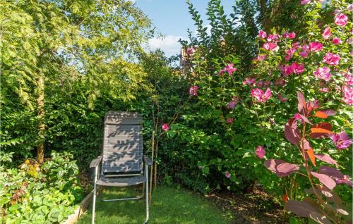 Lovely Apartment In Allinge With Wifi