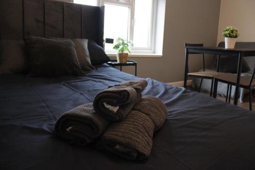Deluxe Studio room in Superb Studio Flats in City Centre