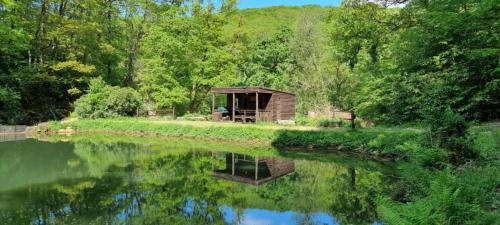 611616559 Great Trethew Manor Hotel & Self Catering Lodges