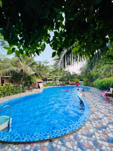 RAFE GARDEN - HOMESTAY BA VÌ - 수영장