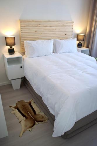 Camden Stay Camden Stay