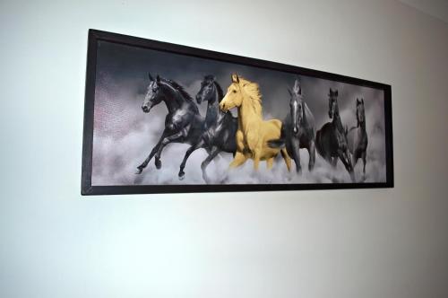 Camden Stay Camden Stay