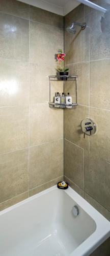 Camden Stay Camden Stay