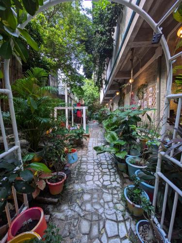 Wonderland Jungle Hostel - 스포츠&체험활동