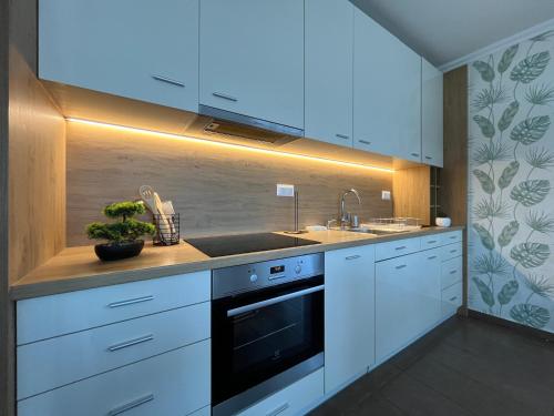 Great Forest View Penthouse Apartment in เซสตาเคิร์ต