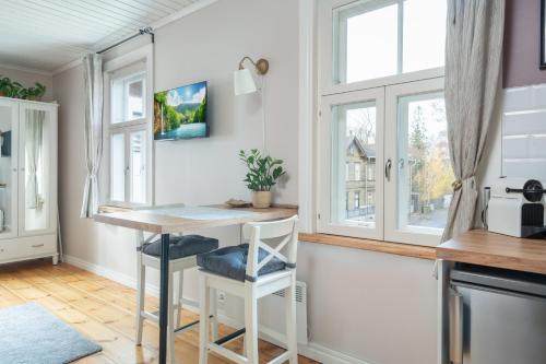 Garden Studio next to Telliskivi & Old Town, Tallinn (photo 9)