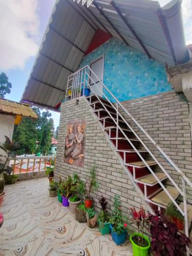 1100m² 5 guļamistaba, 5 privāta vannas istaba Villa Mirik
 (Holidays homestay ) in Mirik