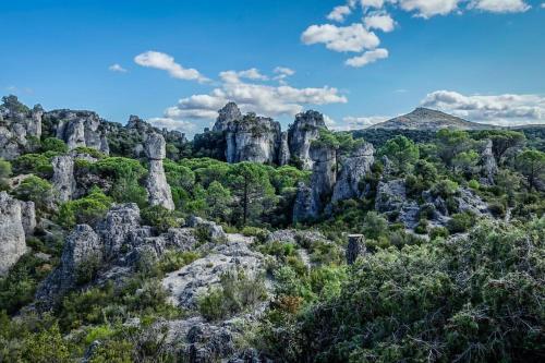 Maison de vacances pleine nature in Clermont-L'Herault