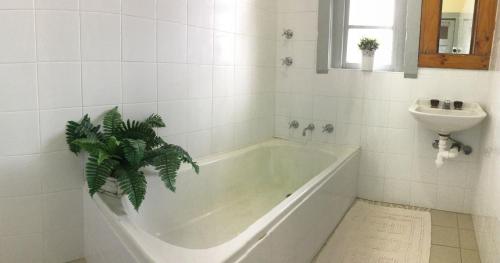 Bathroom, Katoomba Mountain Lodge in Blue Mountains