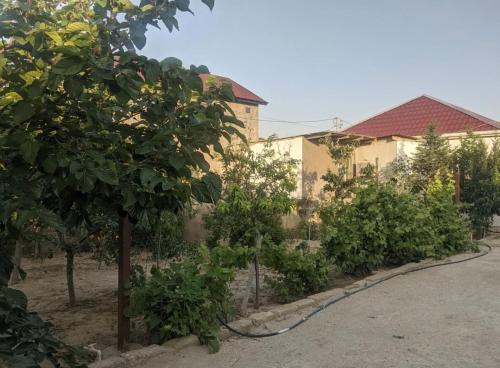 Home2, Baku (zdjęcie 5)