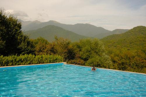611749670 Kvareli Lake Resort