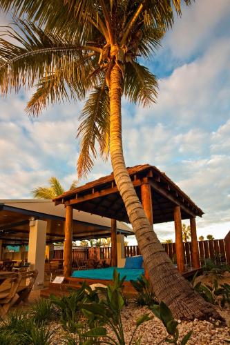 บริการและสิ่งอำนวยความสะดวก, Potshot Hotel Resort. in เอกซ์เมาท์