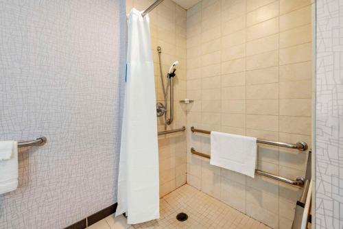 King Suite with Roll-In Shower - Accessible/Non-Smoking