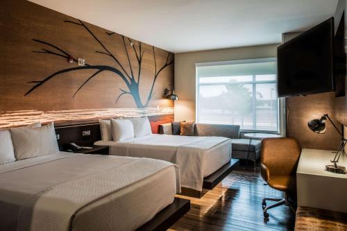 611758261 Cambria Hotel McAllen Convention Center