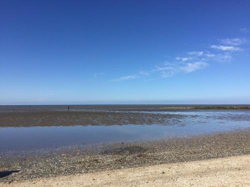 Ferienwohnung Scherr