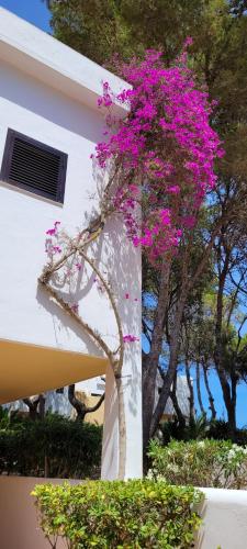 Club Cala Azul - image 9