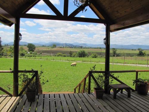 B&B Shambala HN