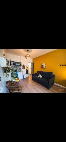 Cosy Studios au coeur du Panier