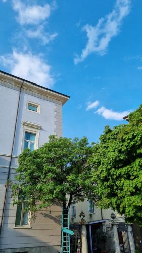 Hotel Europa Varese - image 11