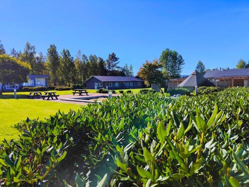 Evje Park - Apartment - Evje