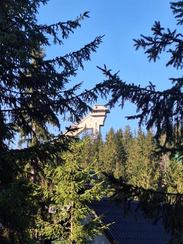 Viktory II in Šišava