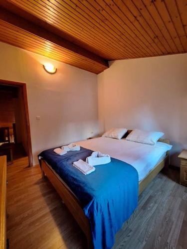 Viktory II in Šišava