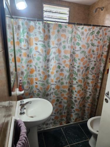 Campo Virgen del Carmen in 聖阿古斯丁鎮