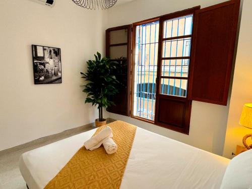 Apartamentos Plaza San Agustín 3000, Granada (fotografie 11)
