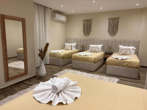 SEQUOIA Pyramids View