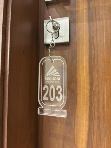 SEQUOIA Pyramids View