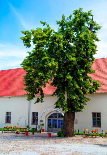 Pałac Wiechlice - image 6
