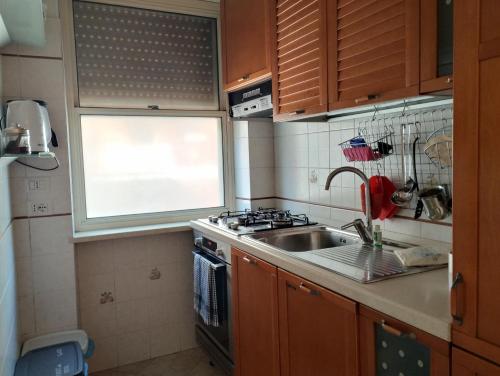 Aurelia Begonia Apartment - family & business, Roma (foto 10)