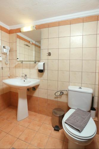 Asteras hotel Room Type - Semi-Basement Double Room with Garden View