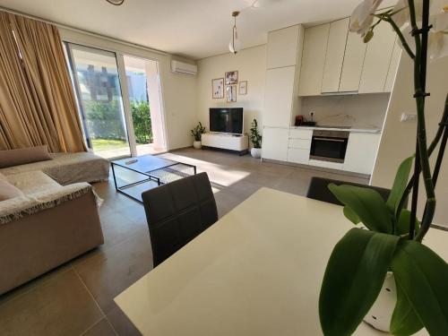 One-Bedroom Apartment image 7