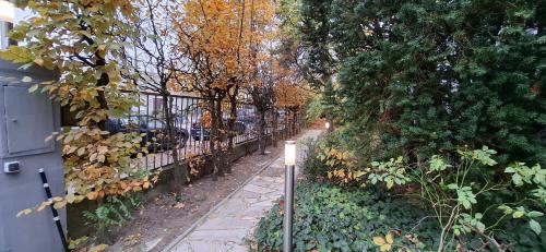 King David Garden, Berlin (photo 9)
