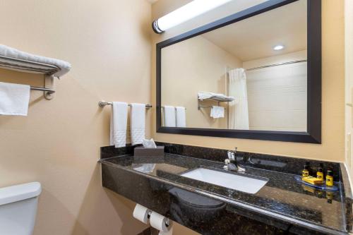 Best Western Plus Goliad Inn & Suites - 화장실