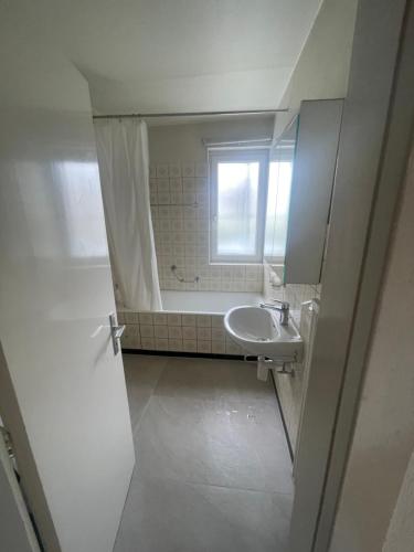 Moléson (Moleson) in 比勒