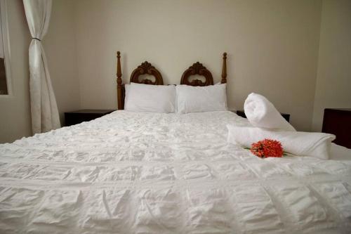 Taylor's Retreat - 5min to Sandals Resort & Beach Taylor's Retreat - 5min to Sandals Resort & Beach